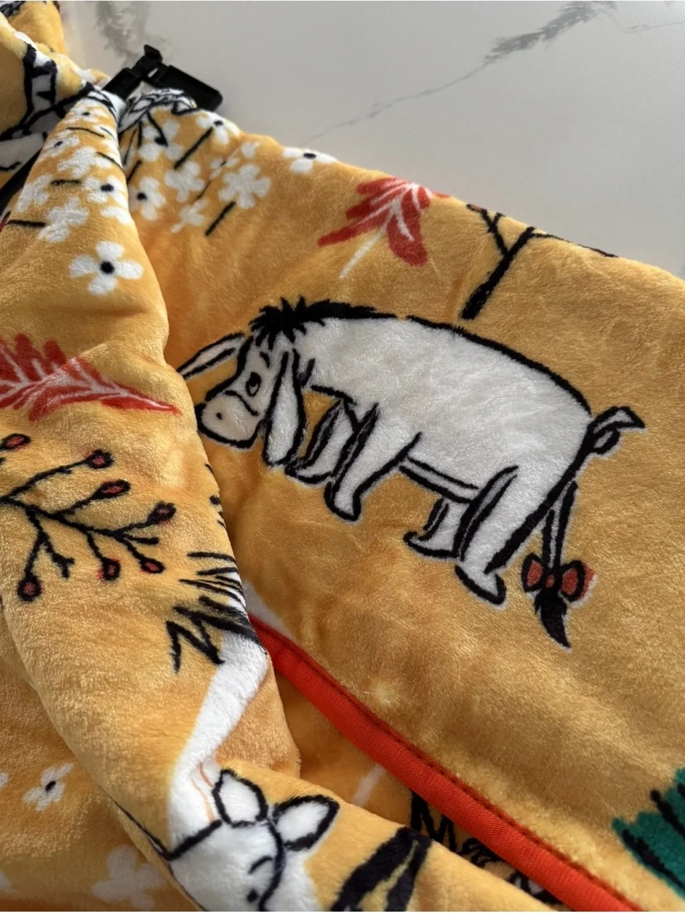 Disney Winnie the Pooh & Friends Plush Baby/Kids Blanket
